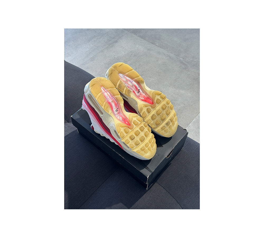 Nike Air Max 95 (41) - Anatomy of Air GID (USADO)