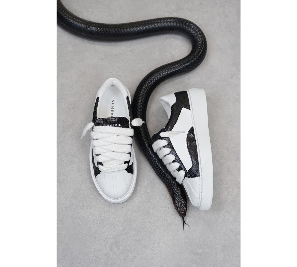 NUMERIŚ Eclipse - Python Black