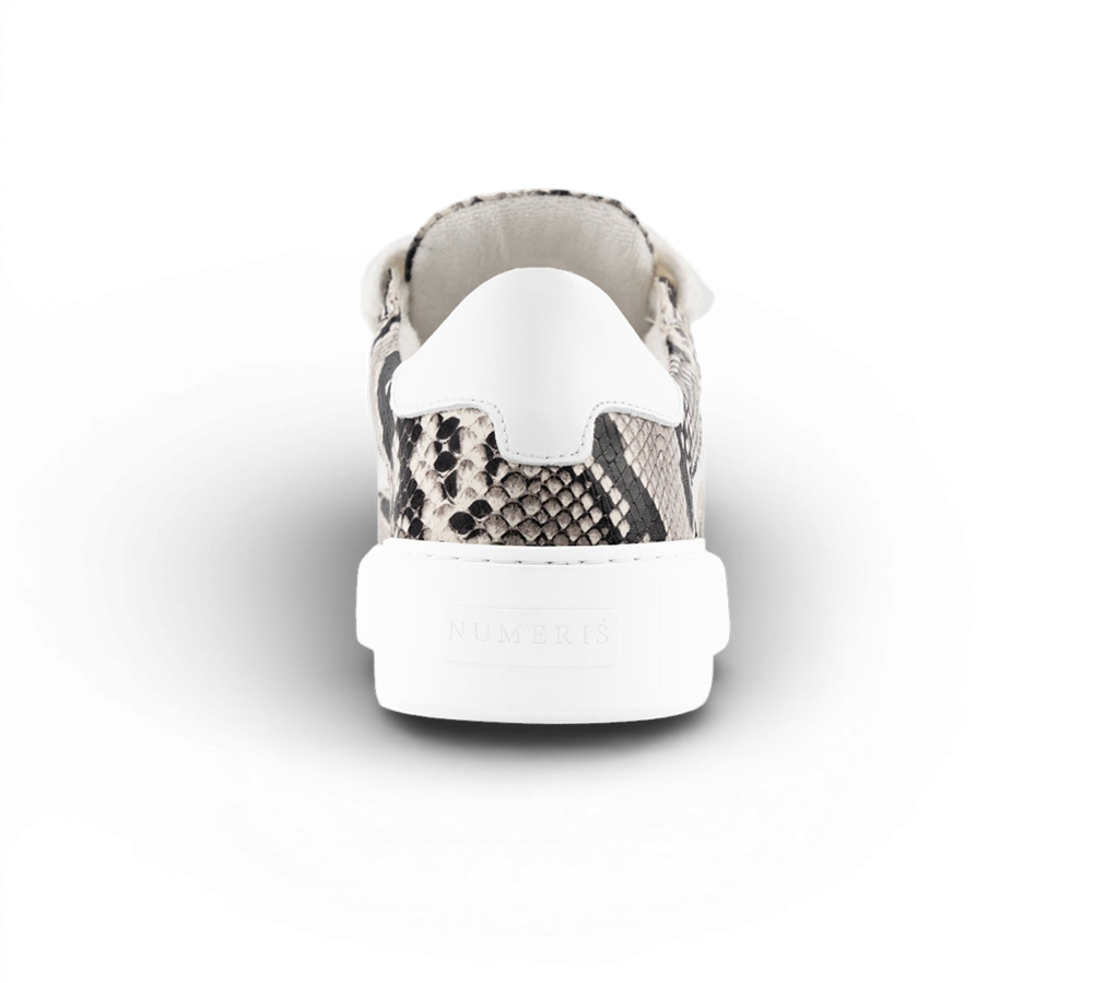 NUMERIŚ Eclipse - Pyhton White
