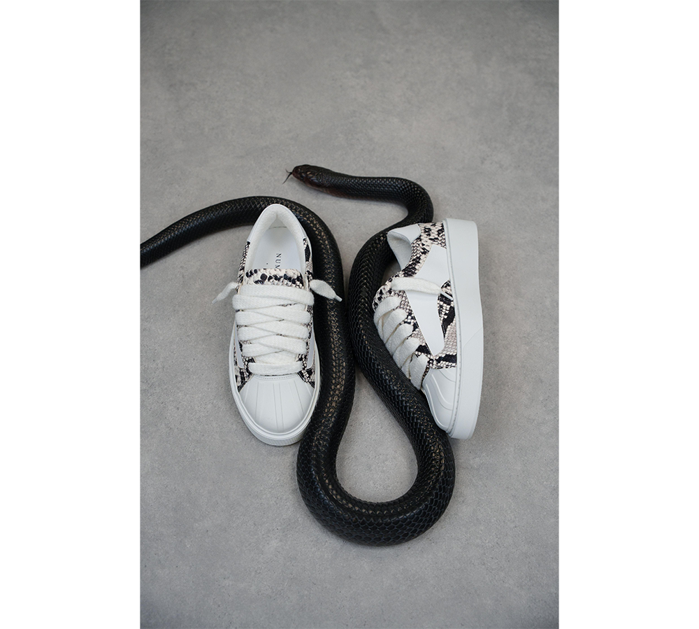 NUMERIŚ Eclipse - Pyhton White